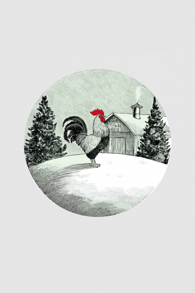 Snowy Farm Rooster by casa cartissi — canvas wall art