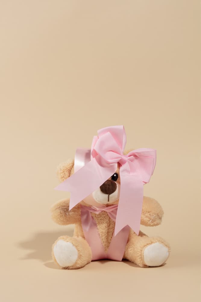 Teddy Bear with Pink Bow by Julia Ramiro — canvas wall art
