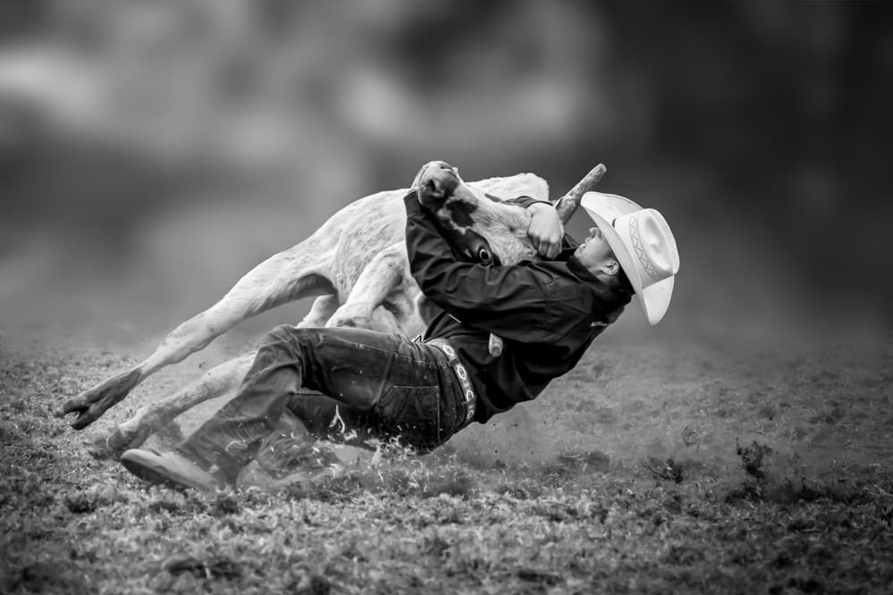 Cowboy Steer Wrestling by Irene Wu — canvas wall art