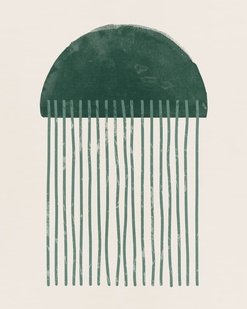 Green Organic Lines by Ema Paraschiv — canvas wall art