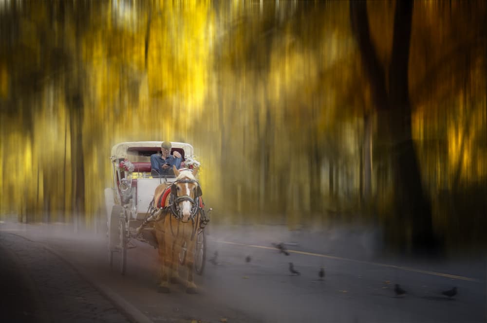 Golden Autumn Carriage Ride by John-Mei Zhong — canvas wall art