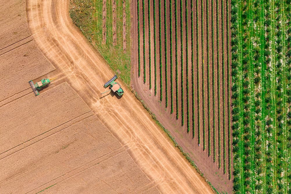 Golden Fields Green Rows by Jure Kravanja — canvas wall art
