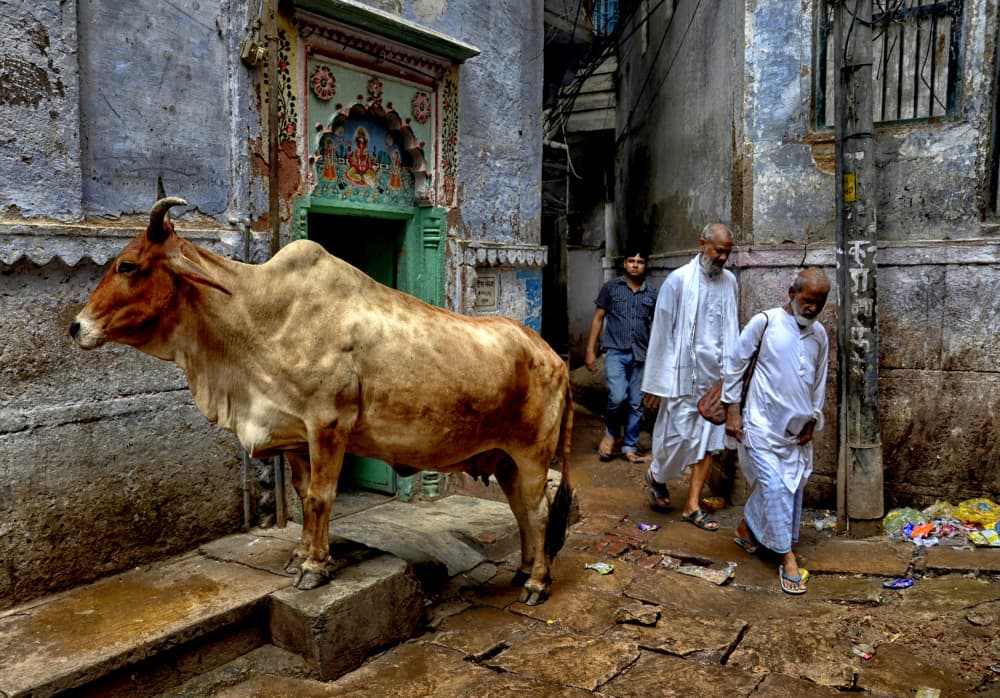 Indian Street Life by Avishek Das — canvas wall art