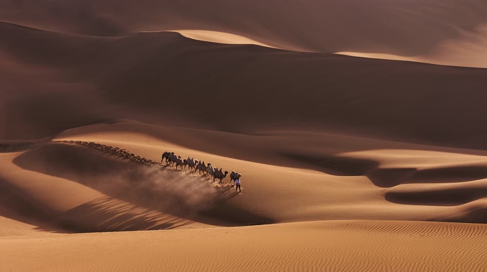Golden Desert Trek by Mei Xu — canvas wall art