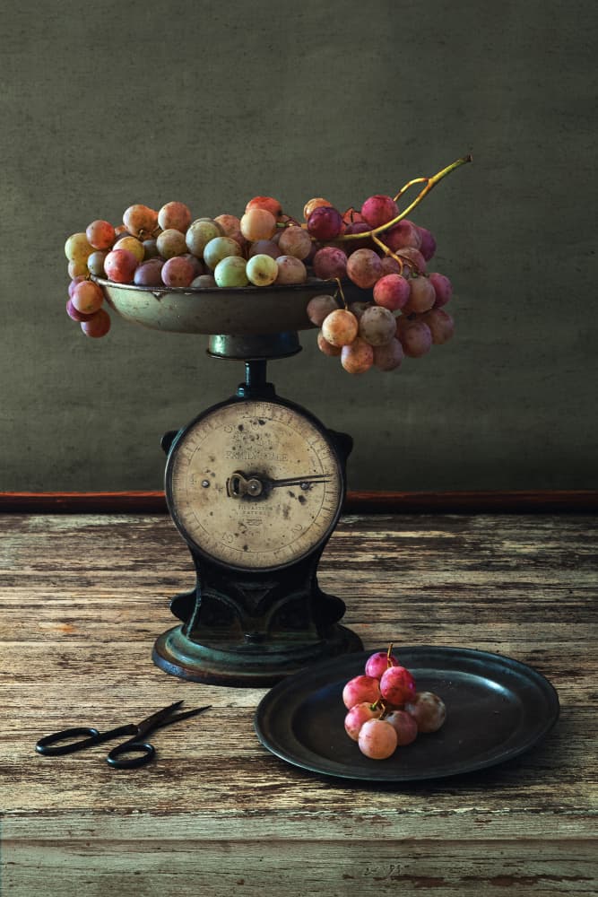 Rustic Grapes on Scale by Christian MARCEL — canvas wall art