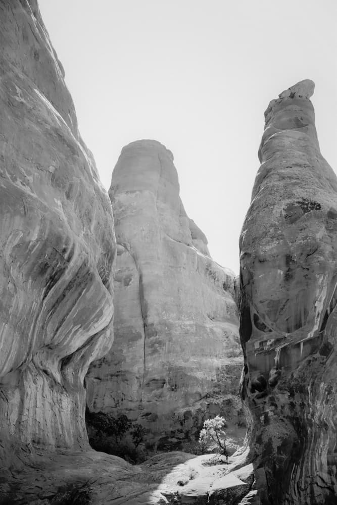 Canyon Light and Stone by Courtney Crane — canvas wall art