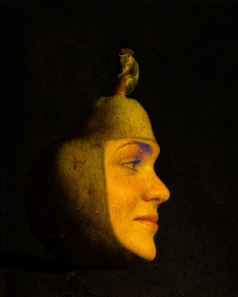 Enigmatic Pear Profile by Leonid Yermoshkin — canvas wall art