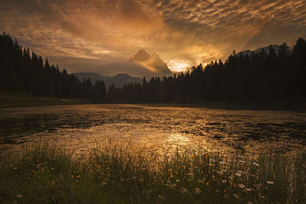 Golden Hour Mountain Lake by TONY GORAN — canvas wall art