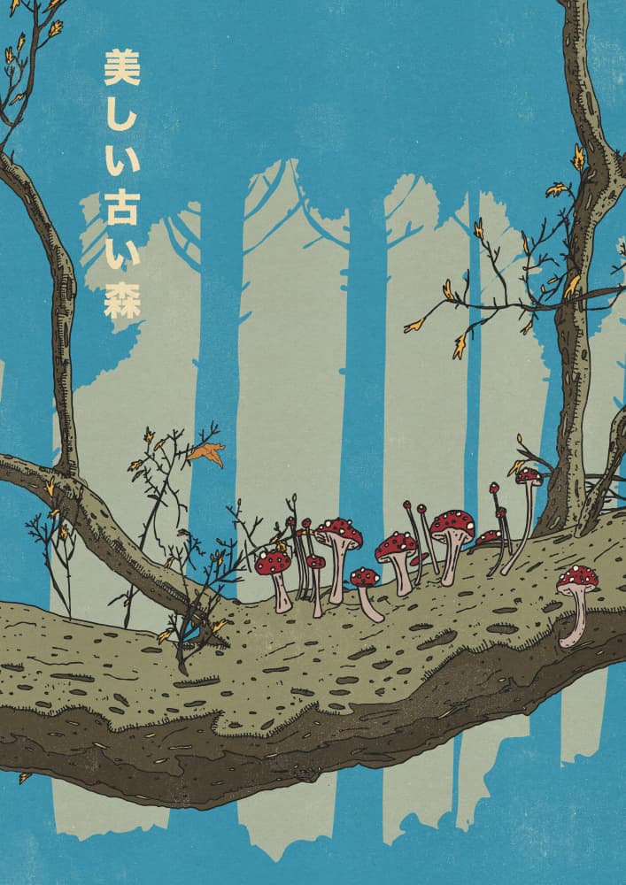 Old Japanese Mushroom Forest by Nicholas — canvas wall art