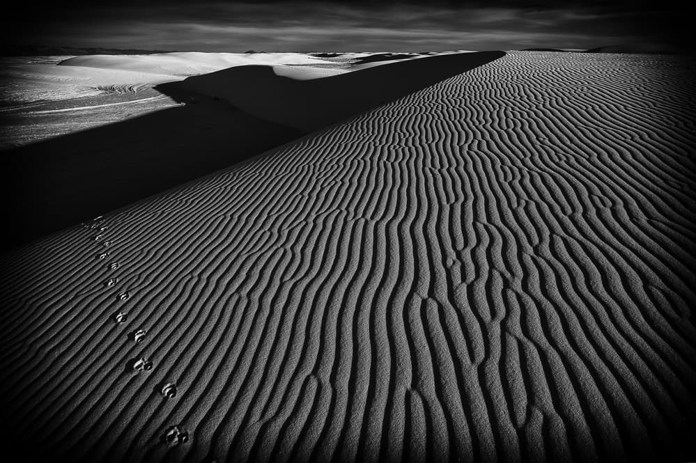 Rippled Desert Dunes by Lydia Jacobs — canvas wall art
