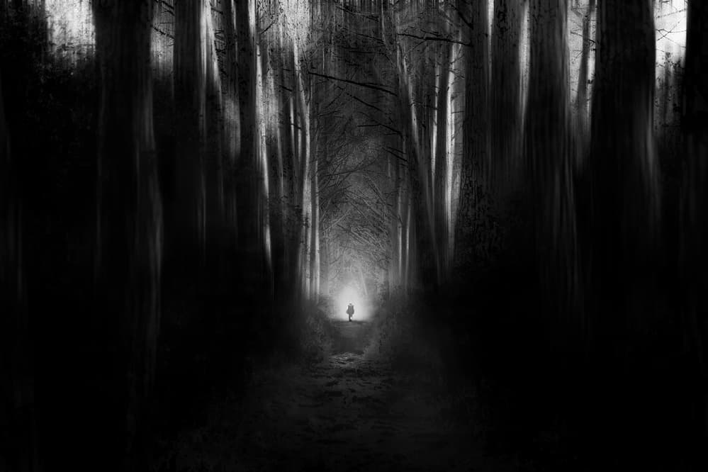 Lone Figure Forest Path by Nicodemo Quaglia — canvas wall art