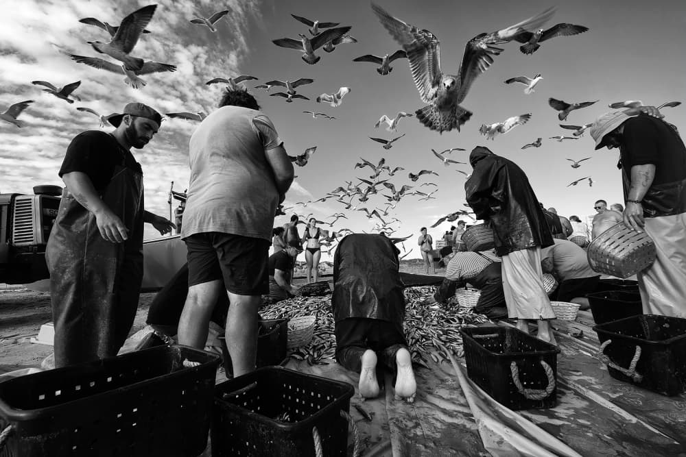 Coastal Fishing Life by Josefina Melo — canvas wall art