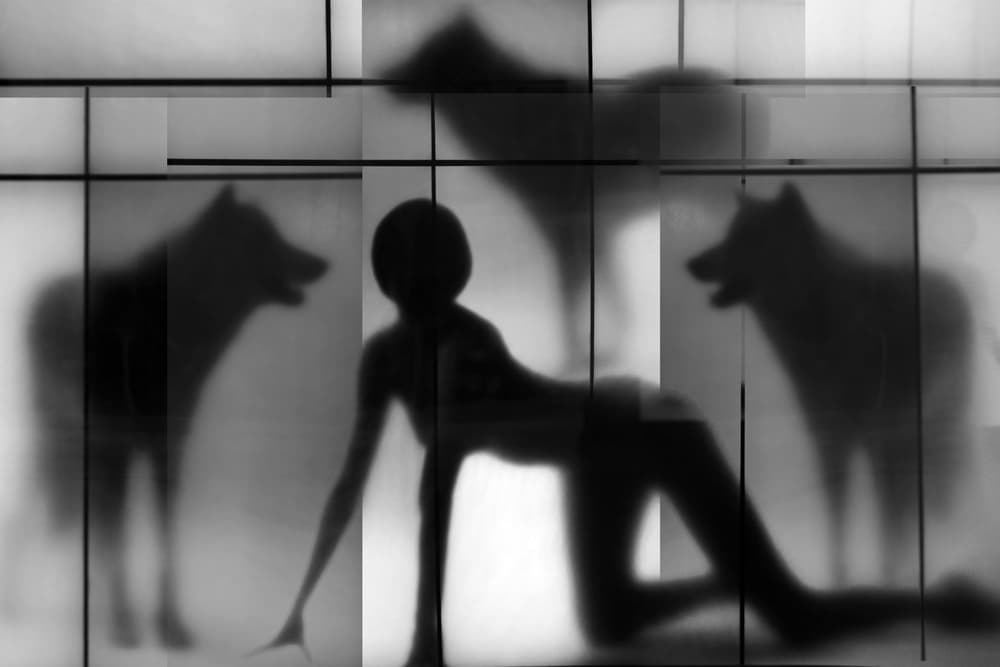 Woman and Wolf Shadows by Igor Shrayer — canvas wall art