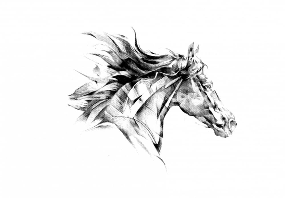 Dynamic Horse Flow by Kulik — canvas wall art