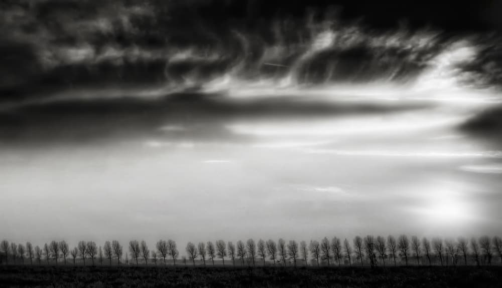 Moody Tree Line by Yvette Depaepe — canvas wall art