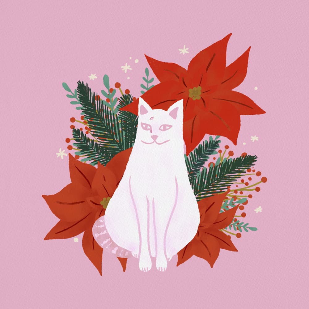 Festive Poinsettia Cat by Angela Minca — canvas wall art