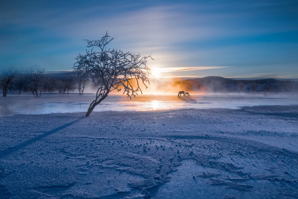 Misty Winter Horses by Songlin Xu — canvas wall art