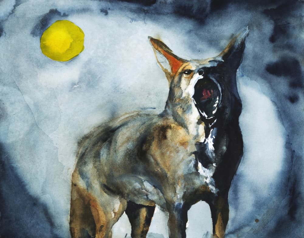 Howling Coyote Moon by RodMacIver — canvas wall art
