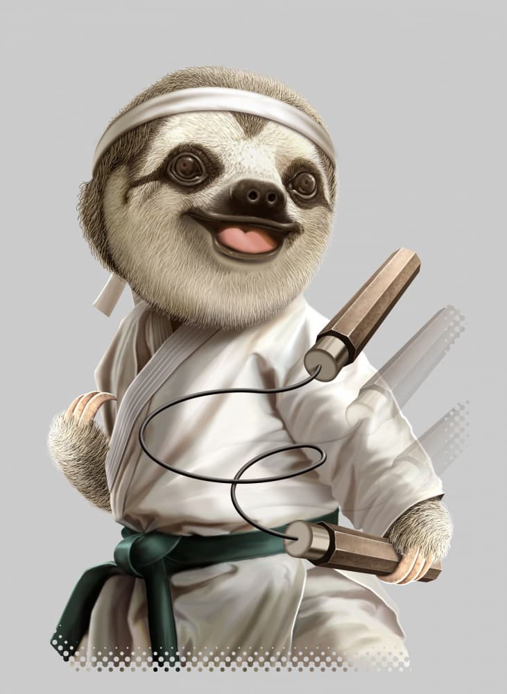 Karate Sloth Warrior by Adam Lawless — canvas wall art