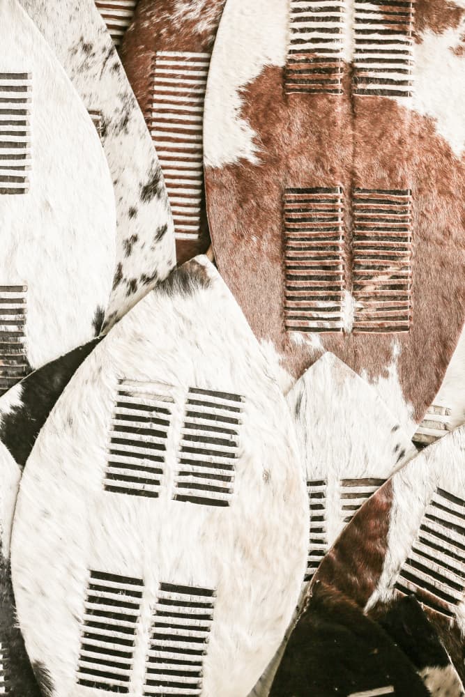 Tribal Hide Shields by Shot by Clint — canvas wall art