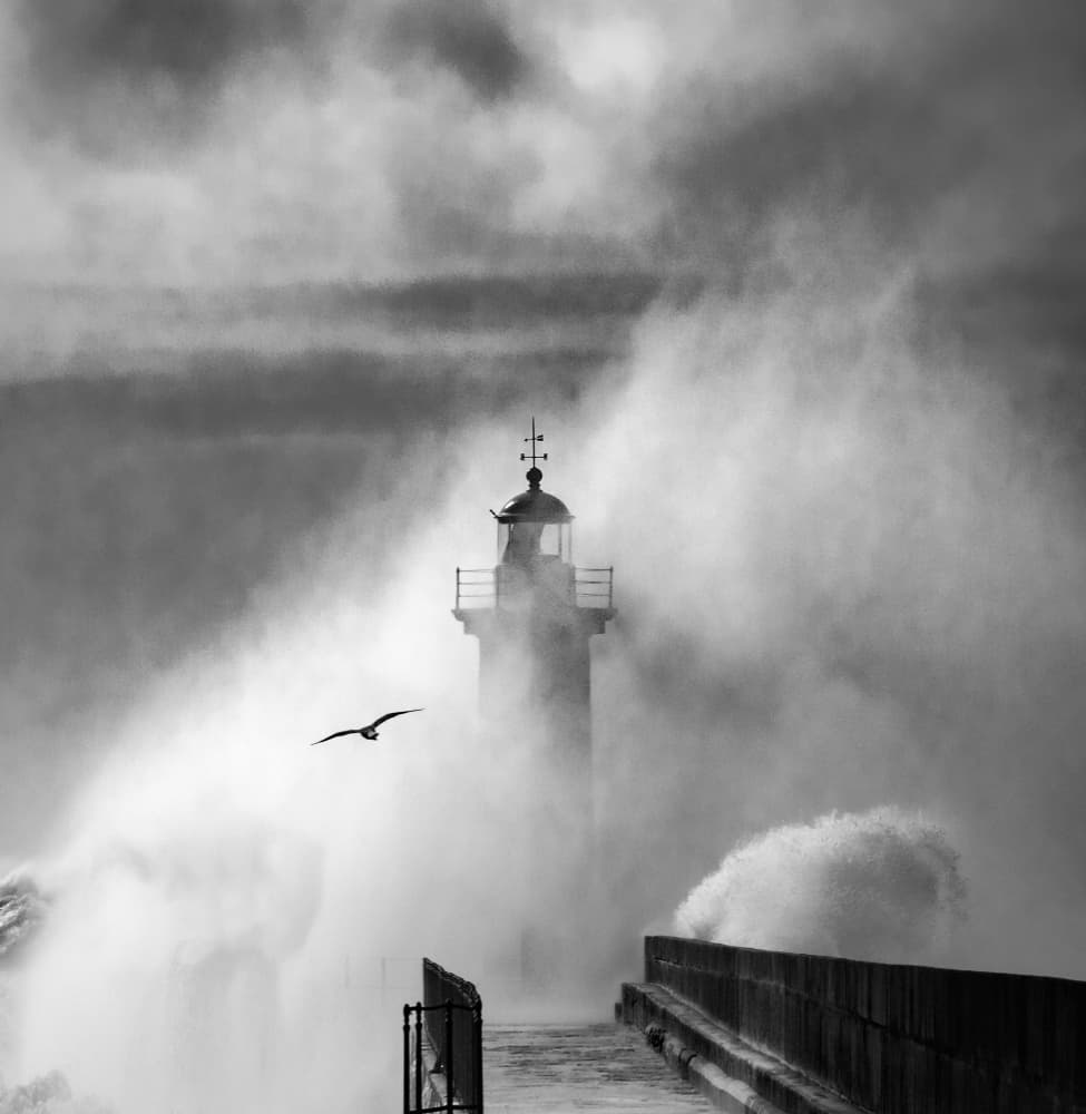 Stormy Lighthouse And Seagull by Marco Faria — canvas wall art