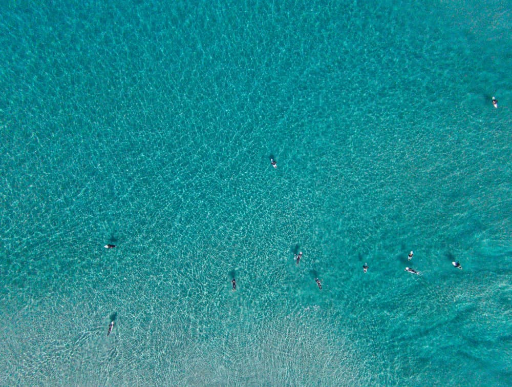 Turquoise Water Surfers by Anthony Fox — canvas wall art