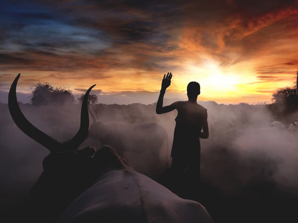 Herder in Golden Mist by Svetlin Yosifov — canvas wall art