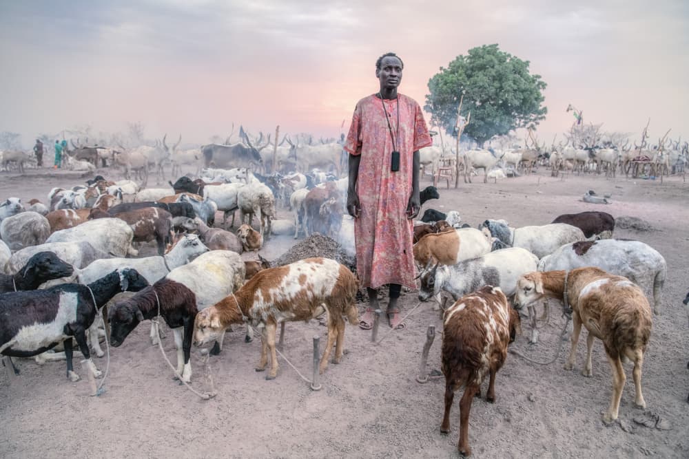 African Herder Golden Hour by Trevor Cole — canvas wall art