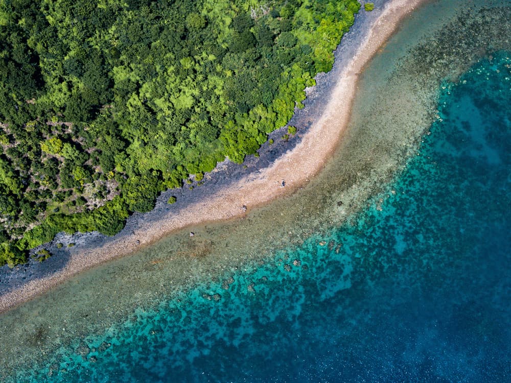 Vibrant Tropical Coast by Serge Melesan — canvas wall art