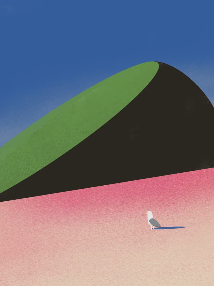 Solitary Bird Pink Dune by Little Dean — canvas wall art