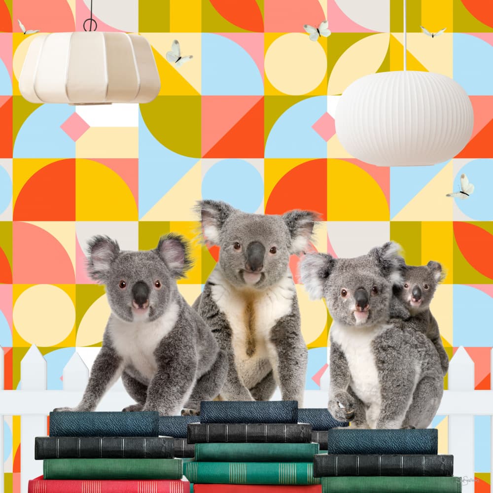 Whimsical Koalas Reading Books by Sue Skellern — canvas wall art