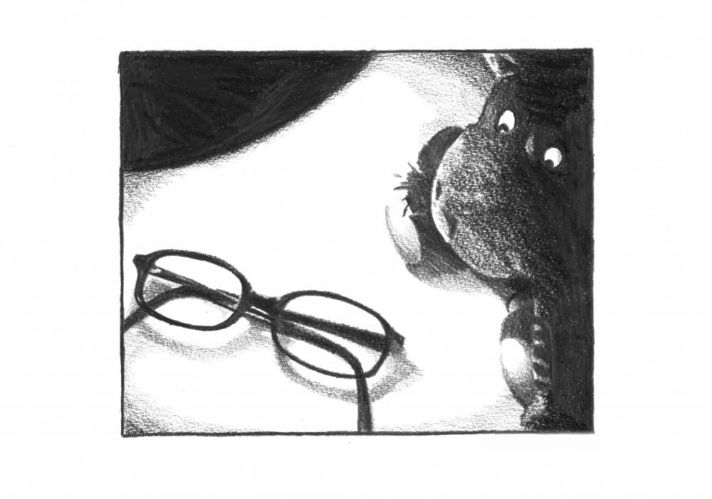 Curious Donkey Eyeglasses by Kulik — canvas wall art
