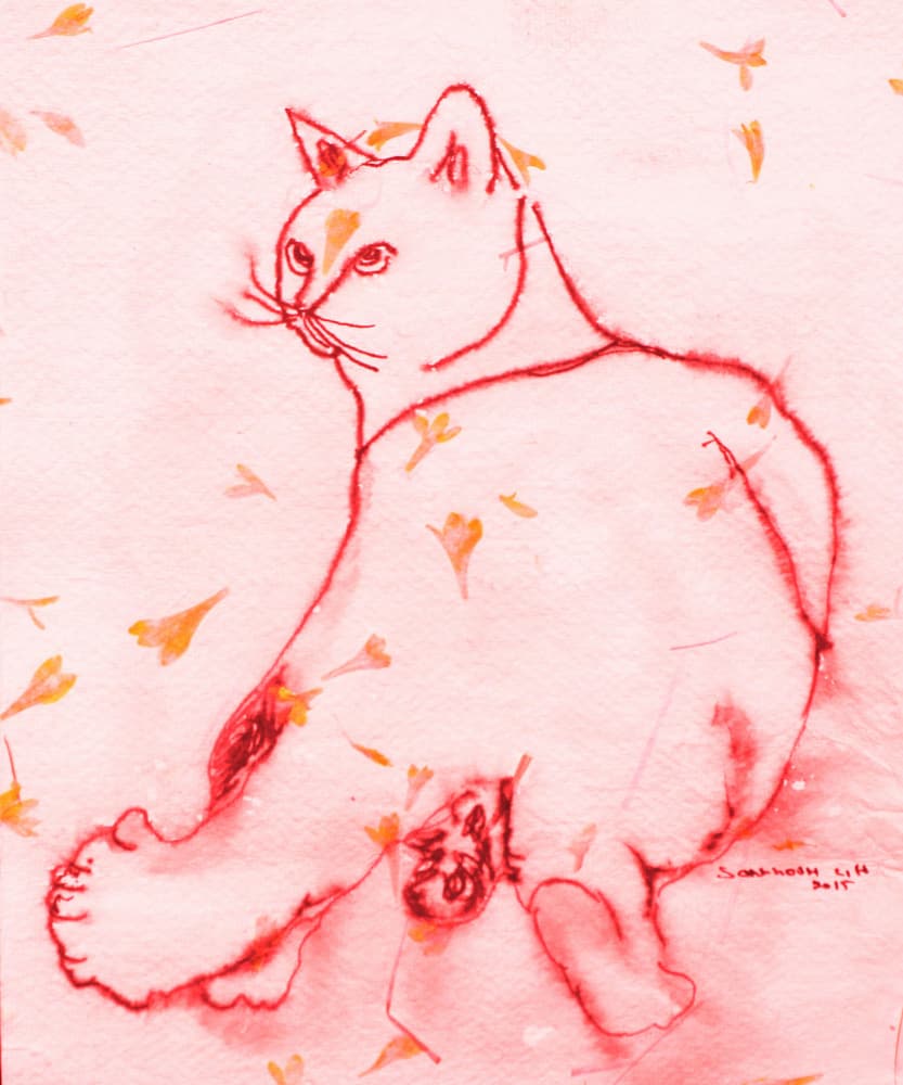Red Cat Looking Back by Santhosh ch — canvas wall art