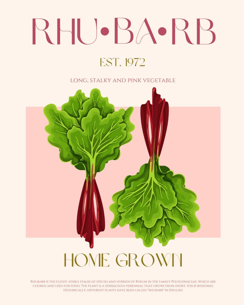 Rhubarb Print by Nazma Khokhar — canvas wall art