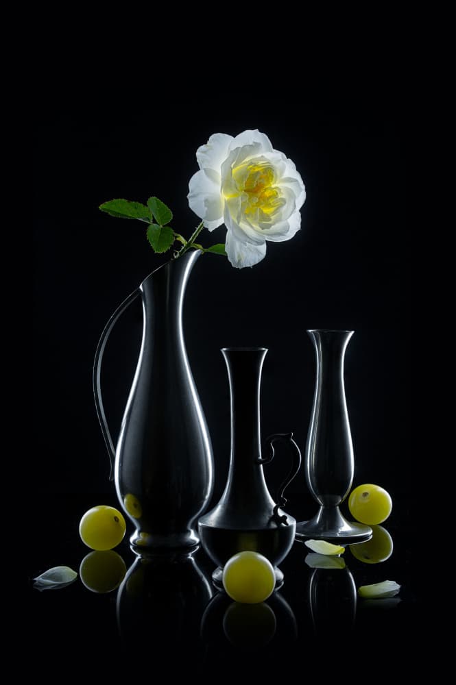 Luminous Rose and Vases by Lydia Jacobs — canvas wall art