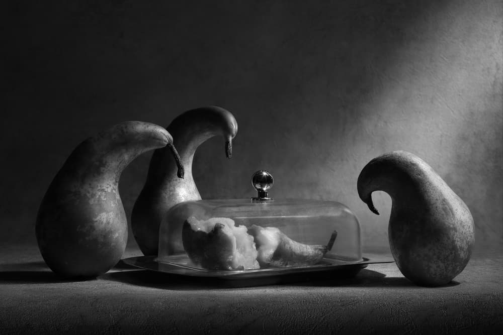 Mourning Pears Still Life by Victoria Glinka — canvas wall art