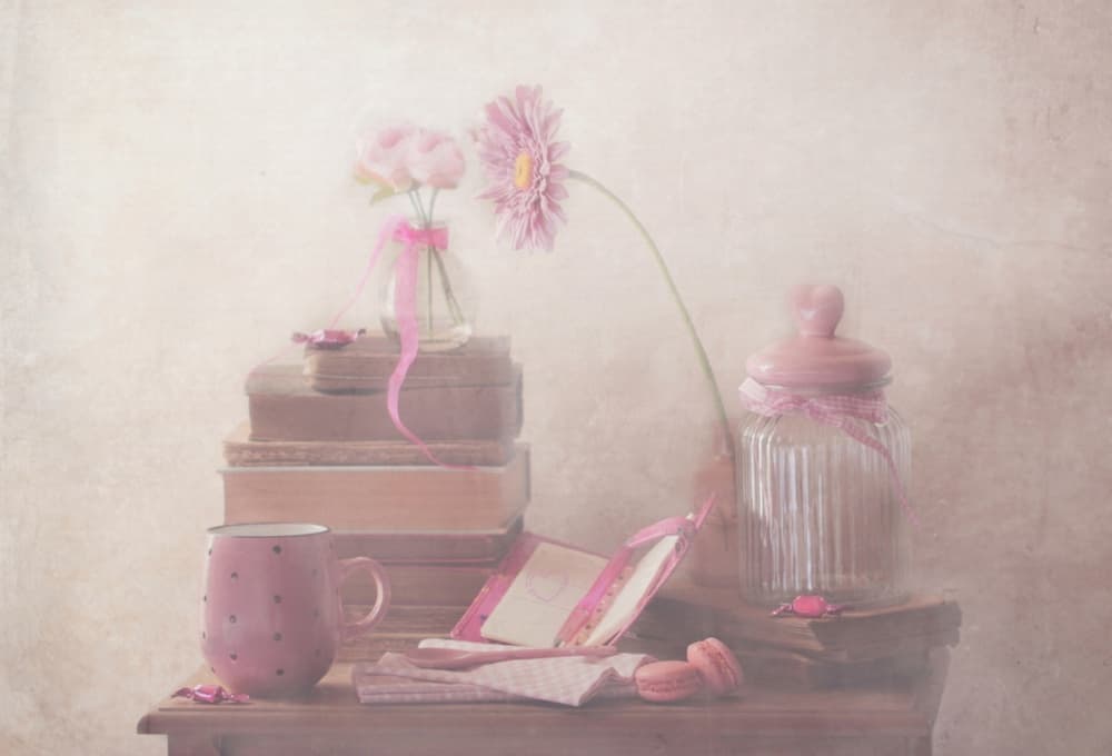 Sweet Pink Comfort by Delphine Devos — canvas wall art