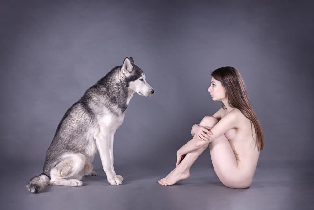 Human And Husky by Michael Allmaier — canvas wall art