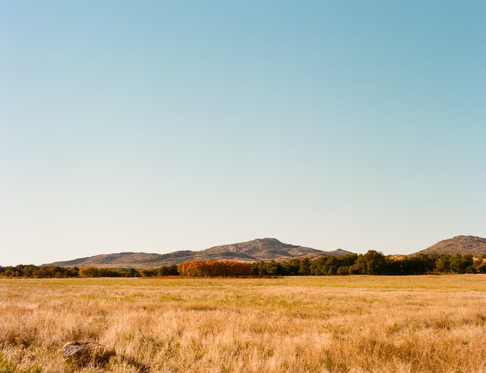 Fall Golden Hour II on Film by Bethany Young — canvas wall art