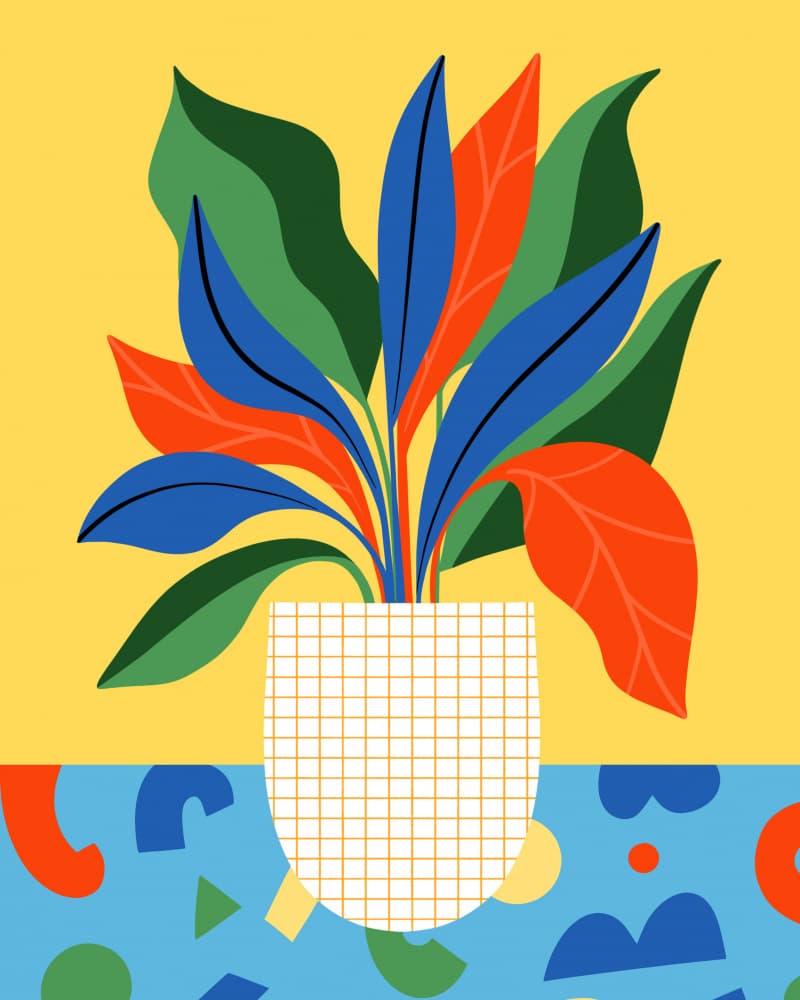 Abstract Plant by Melissa Donne — canvas wall art