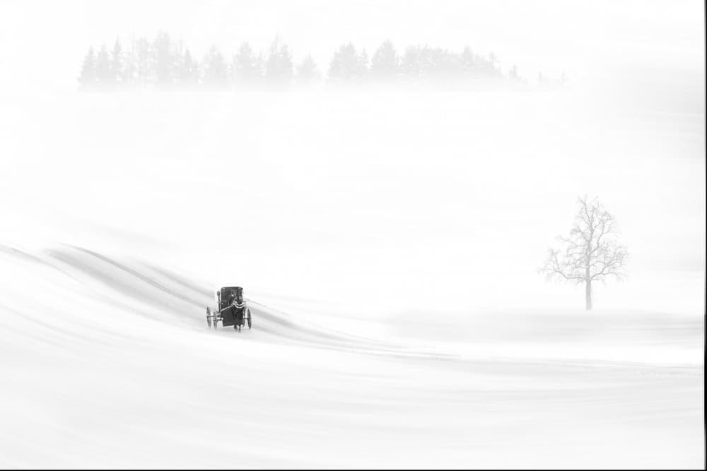 Quiet Winter Journey by Rob Li — canvas wall art