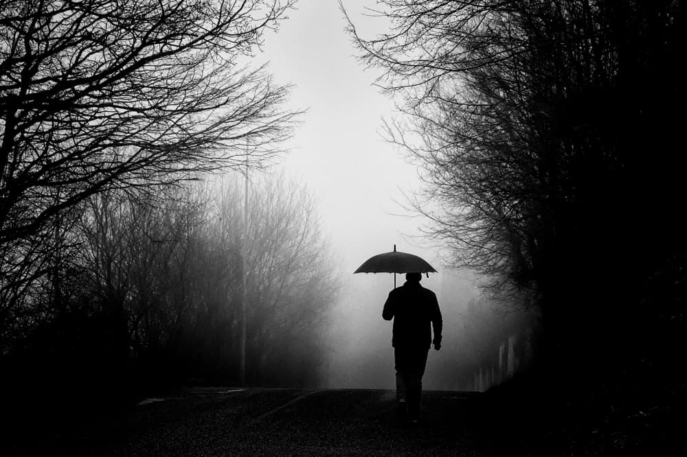Solitary Walk in Fog by Valentin Borsan — canvas wall art