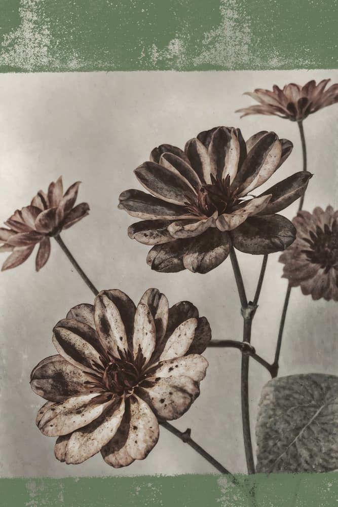 Vintage Faded Flowers by The Art Concept — canvas wall art