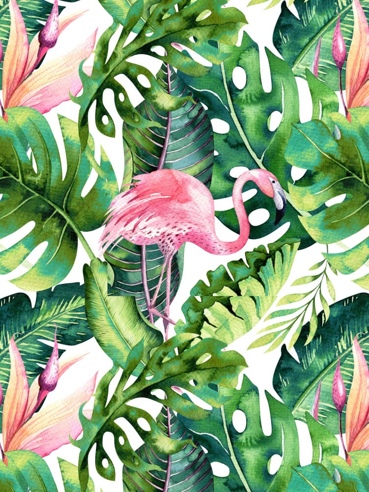 Tropical Flamingo Leaves by Uma Gokhale — canvas wall art