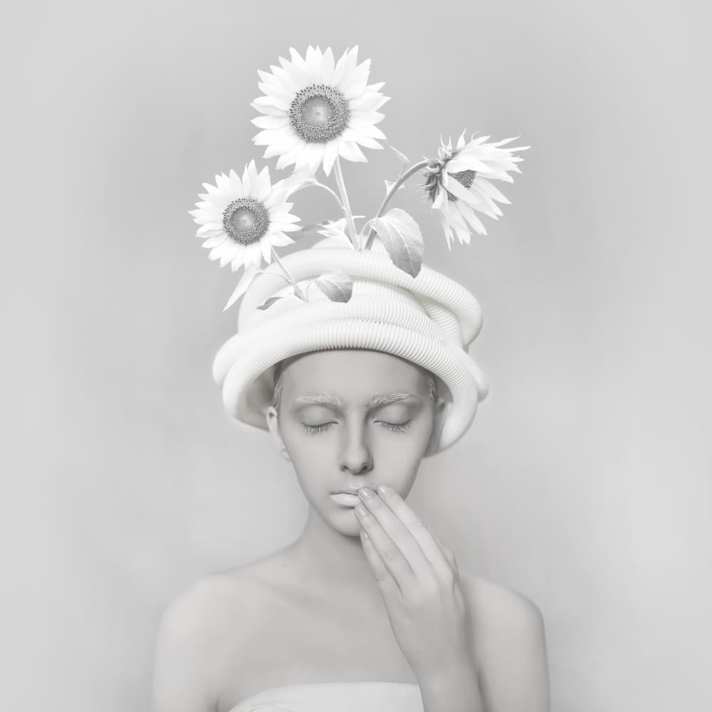 Silent Sunflower Dream by hardibudi — canvas wall art