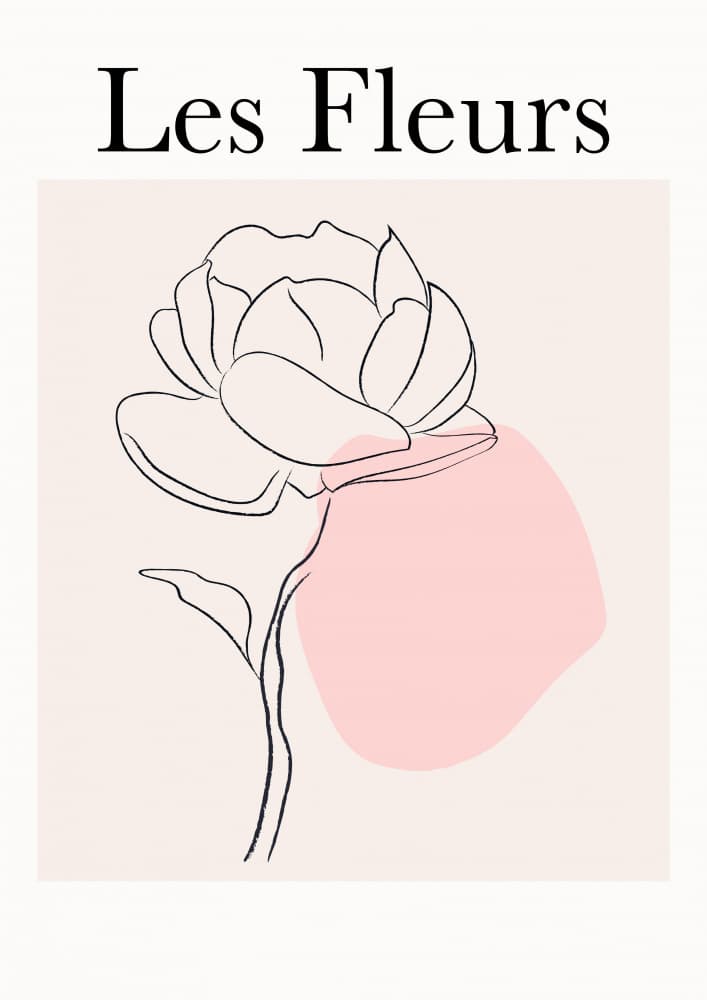 Blush Peony Line Art by Talitha McQueen — canvas wall art