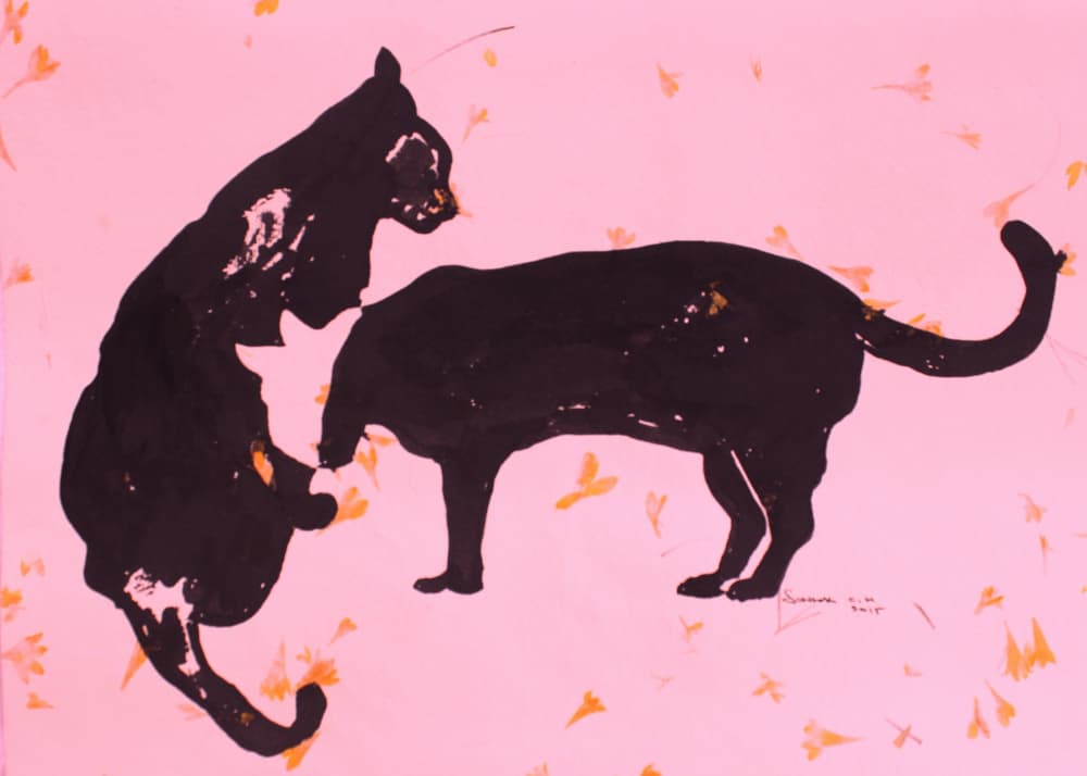 Black Cats Pink Play by Santhosh ch — canvas wall art