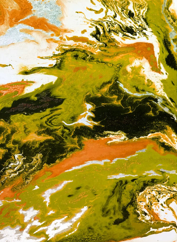 Dynamic Fluidity by Alyson Storms — canvas wall art