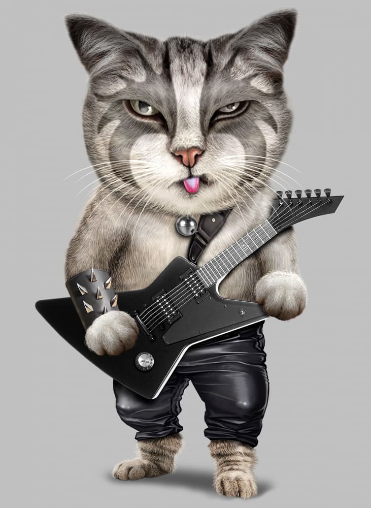 Sassy Rocker Cat by Adam Lawless — canvas wall art