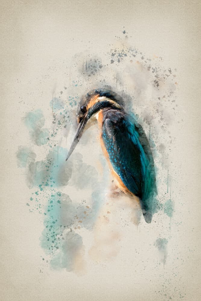 Vibrant Kingfisher Watercolor by Ema Paraschiv — canvas wall art